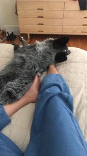 Adriene Mishler feet photo thumbnail