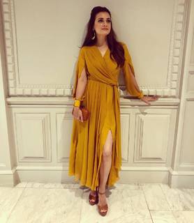 Dia Mirza feet photo thumbnail