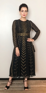 Dia Mirza feet photo thumbnail