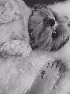 Laura Vandervoort feet photo thumbnail