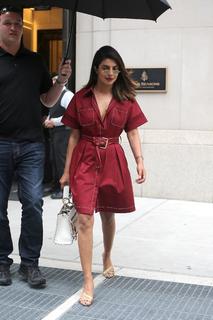 Priyanka Chopra Jonas feet photo thumbnail