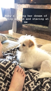 Kaley Cuoco feet photo thumbnail