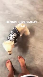 Paige VanZant feet photo thumbnail
