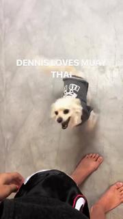 Paige VanZant feet photo thumbnail