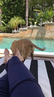 Kaley Cuoco feet photo thumbnail