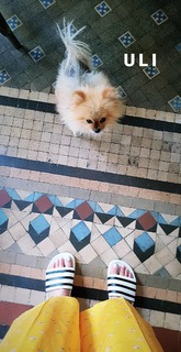 Blanca Suárez feet photo thumbnail