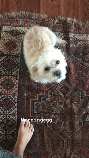 Vanessa Hudgens feet photo thumbnail