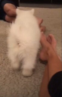 Adriane Galisteu feet photo thumbnail