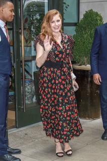 Amy Adams feet photo thumbnail