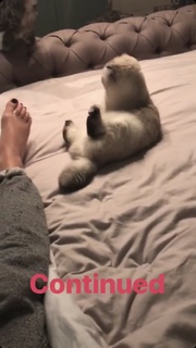 Taylor Swift feet photo thumbnail