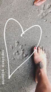 Carolina Dieckmann feet photo thumbnail