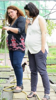 Annalena Baerbock feet photo 1