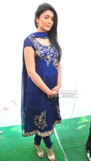 Shriya Saran feet photo thumbnail