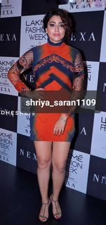 Shriya Saran feet photo thumbnail
