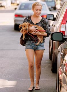 Hayden Panettiere feet photo thumbnail