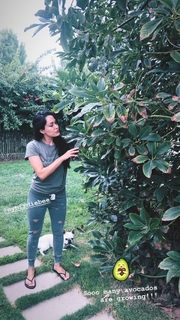 Brie Garcia feet photo thumbnail