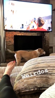 Kaley Cuoco feet photo thumbnail