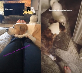 Kaley Cuoco feet photo thumbnail