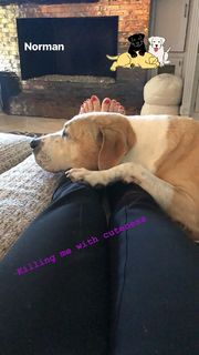 Kaley Cuoco feet photo thumbnail