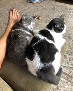 Constance Marie feet photo thumbnail