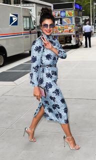 Priyanka Chopra Jonas feet photo thumbnail
