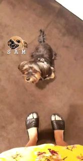 Blanca Suárez feet photo thumbnail