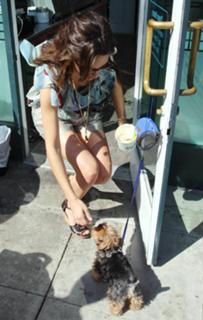 Emmy Rossum feet photo thumbnail