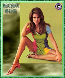 Raquel Welch feet photo 3