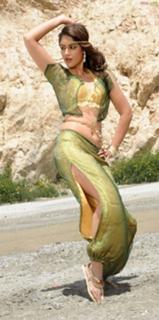Ileana D'Cruz feet photo thumbnail