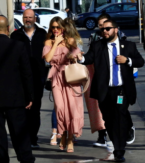 Sofía Vergara feet photo thumbnail