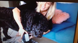 Jennie Garth feet photo thumbnail