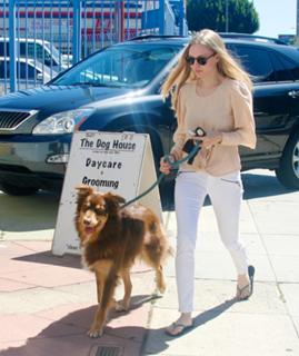 Amanda Seyfried feet photo thumbnail