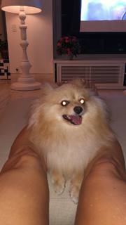 Flávia Alessandra feet photo thumbnail