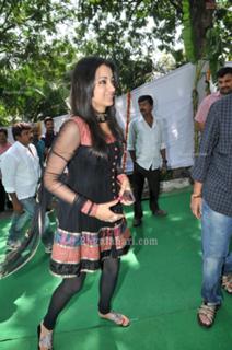 Trisha Krishnan feet photo thumbnail