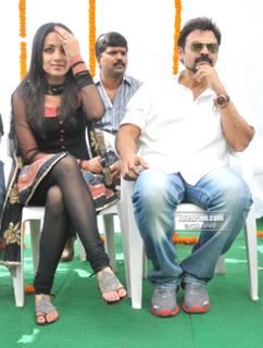 Trisha Krishnan feet photo thumbnail