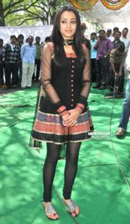 Trisha Krishnan feet photo thumbnail