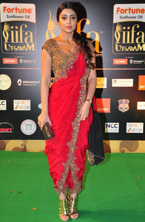 Shriya Saran feet photo thumbnail