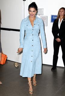 Priyanka Chopra Jonas feet photo thumbnail