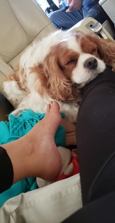Anitta feet photo thumbnail