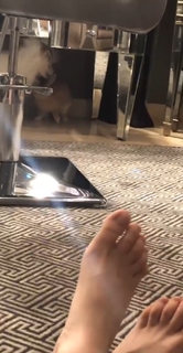 Kaley Cuoco feet photo thumbnail