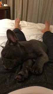 Federica Pellegrini feet photo thumbnail