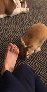 Kaley Cuoco feet photo thumbnail