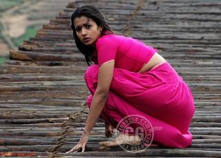 Trisha Krishnan feet photo thumbnail