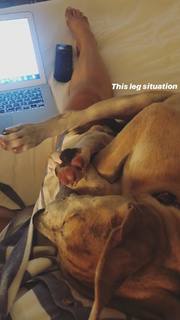 Jenna Dewan feet photo thumbnail