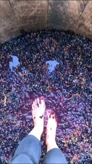 Flávia Alessandra feet photo thumbnail