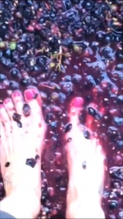Flávia Alessandra feet photo thumbnail