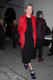 Sharon Stone feet photo thumbnail
