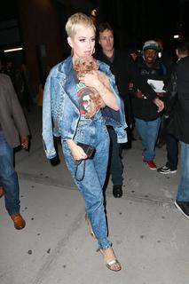 Katy Perry feet photo thumbnail