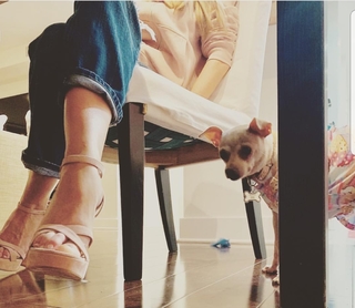 Sofía Vergara feet photo thumbnail