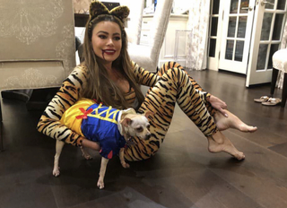Sofía Vergara feet photo thumbnail